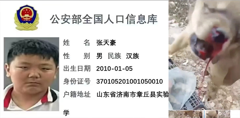 山东济南章丘县 实验中学 张天豪 用鞭炮炸小狗虐狗 遭全网开盒 画面不适,慎入