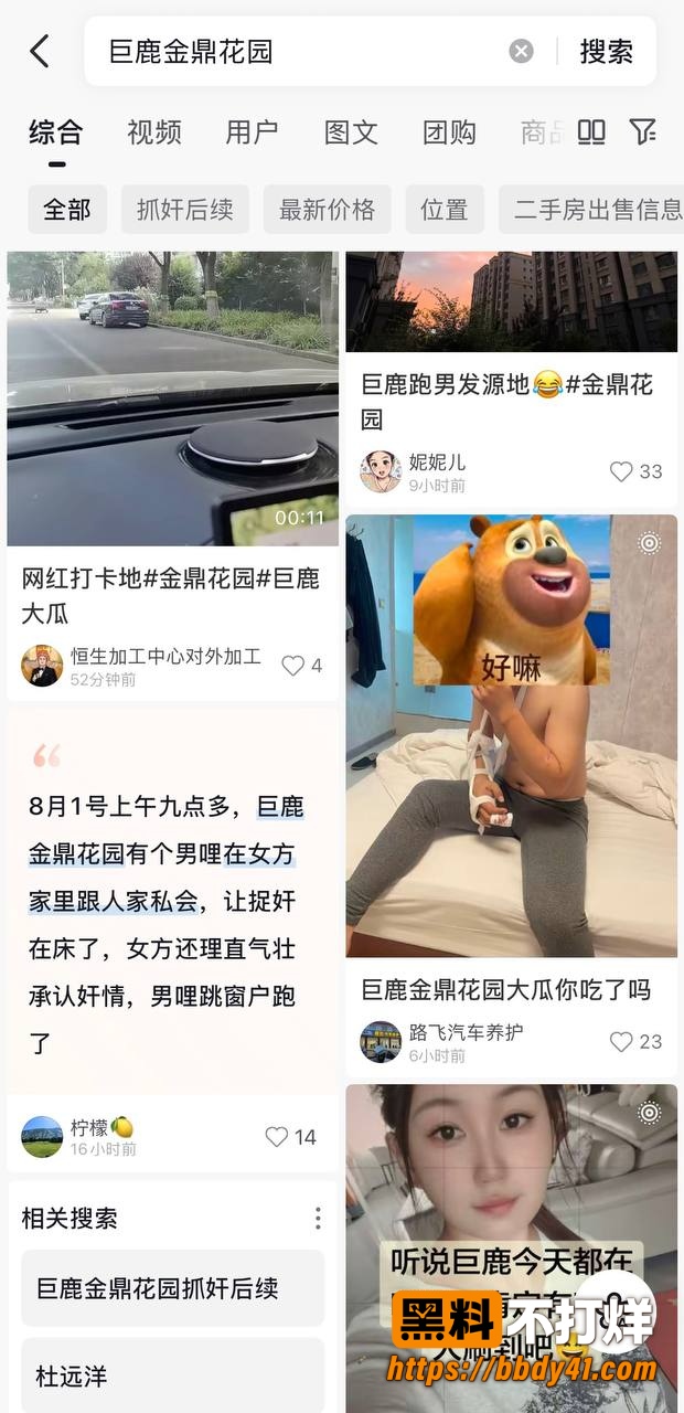 巨鹿金鼎花园1