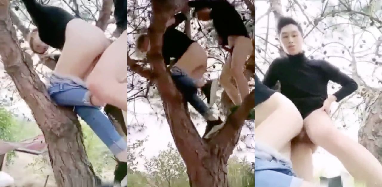 现在的走肾爱情都成精了吗?!一对情侣展现高技术树上操逼!