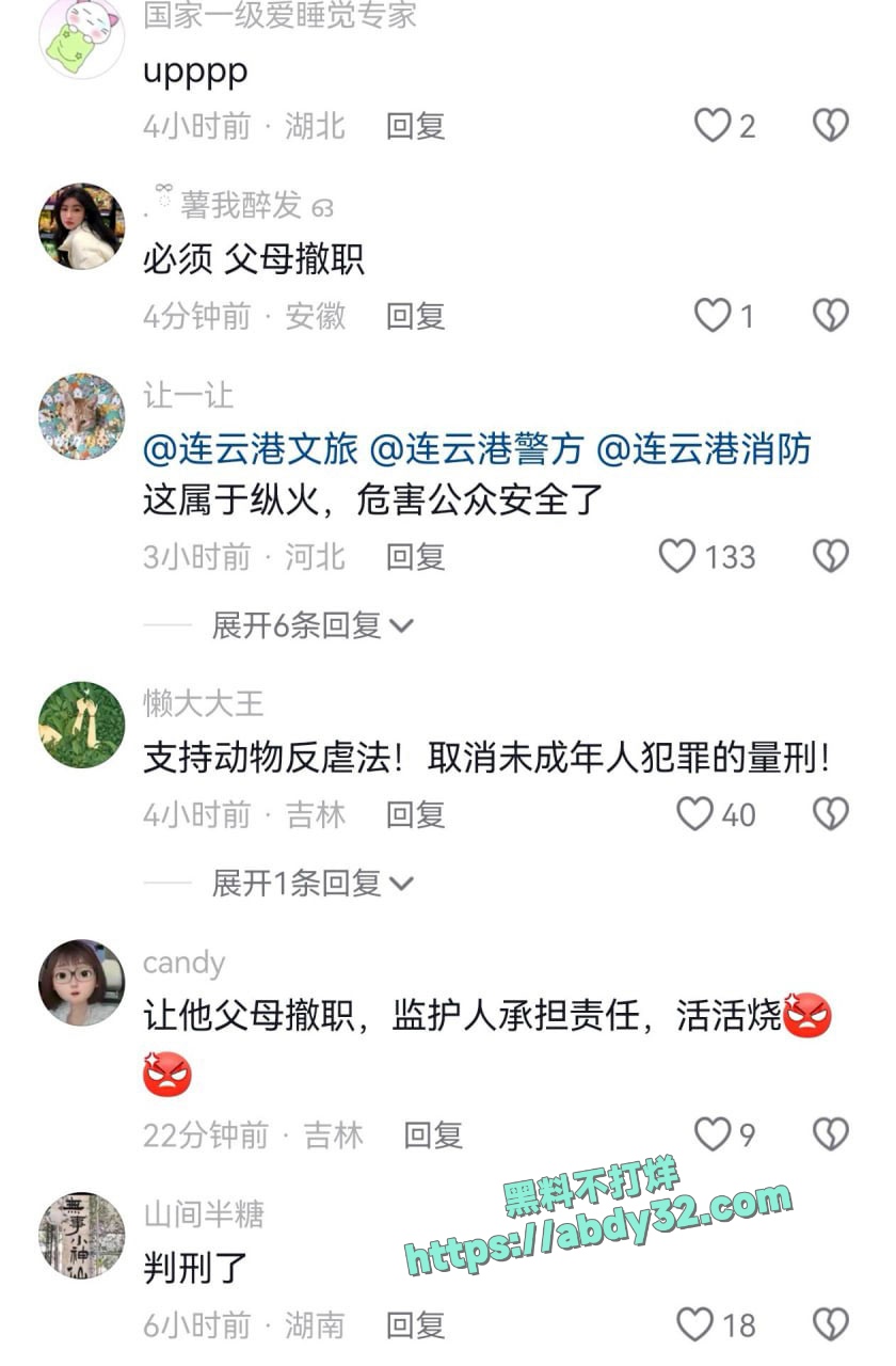 连云港两男孩烧死笼中萨摩耶 5