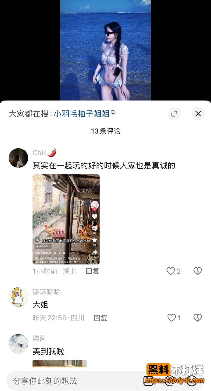 小羽毛3