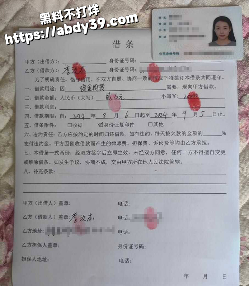 李汶芯,裸贷无力偿还