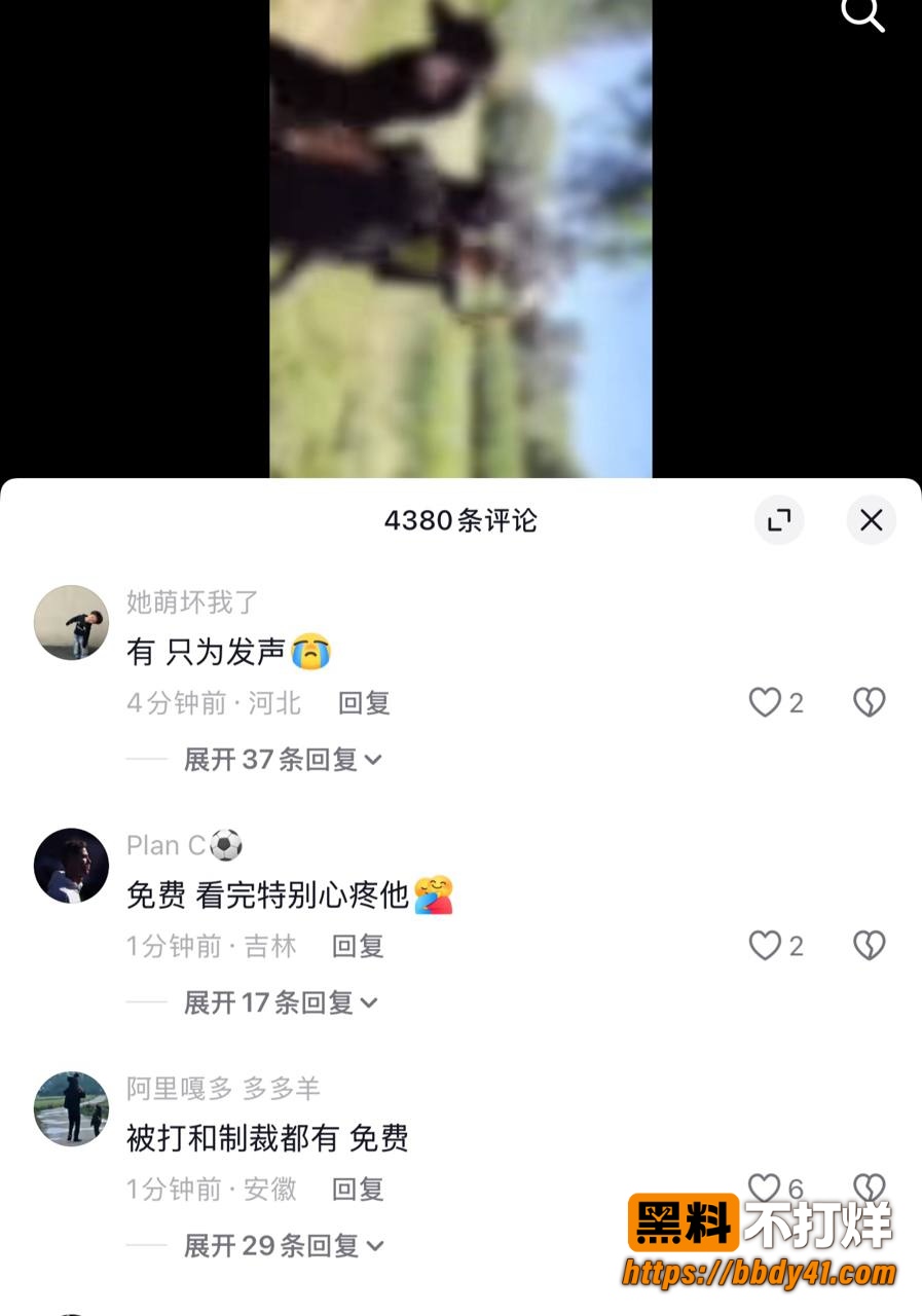 霸凌者被制裁10