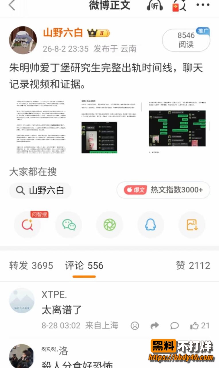 朱明帅瓜条1