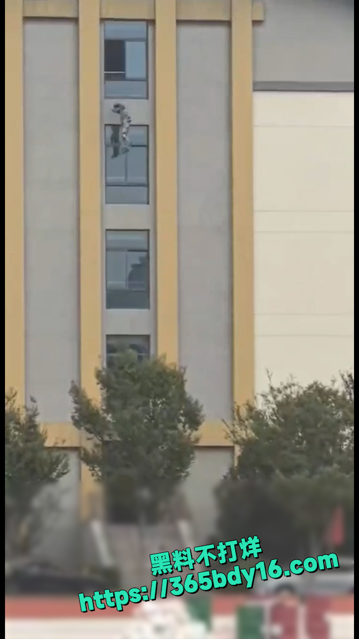 一气之下跳楼 1