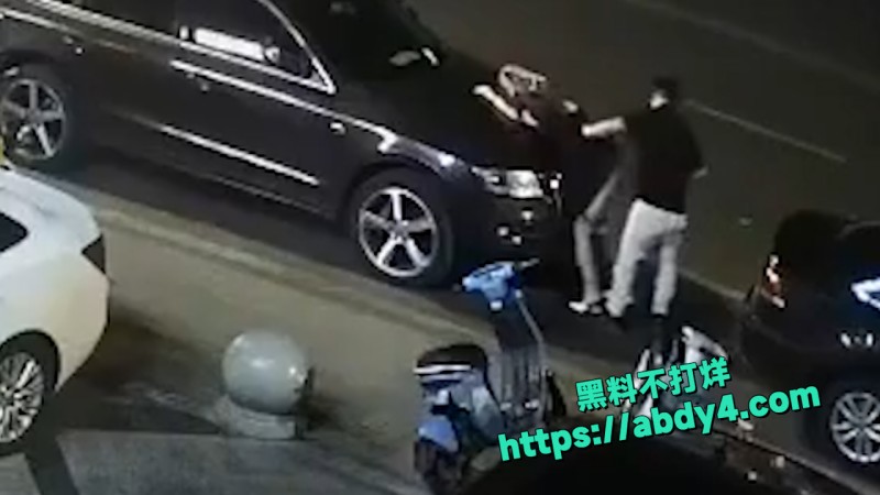 野鸳鸯精虫上脑 路边车旁激情啪啪 10