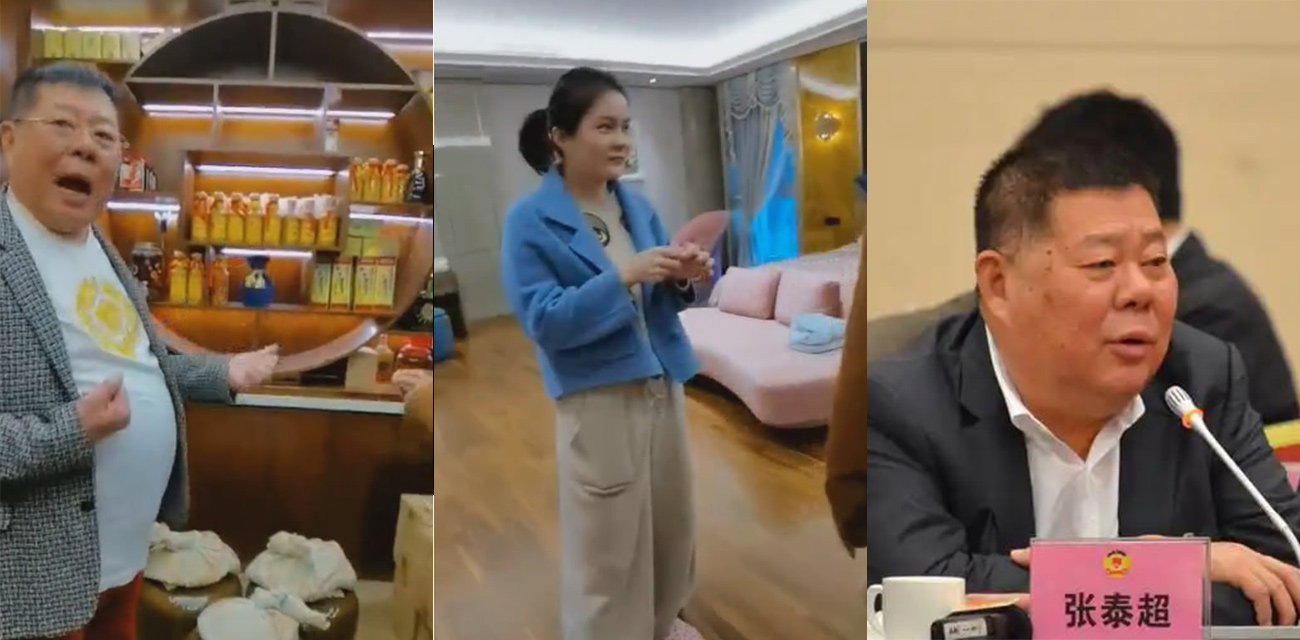 海南省政协常委张泰超大曝光! 拥有5个美艳老婆20多套顶级豪宅 一个马桶就值20万