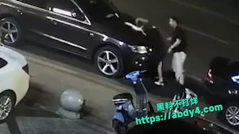 野鸳鸯精虫上脑 路边车旁激情啪啪 9
