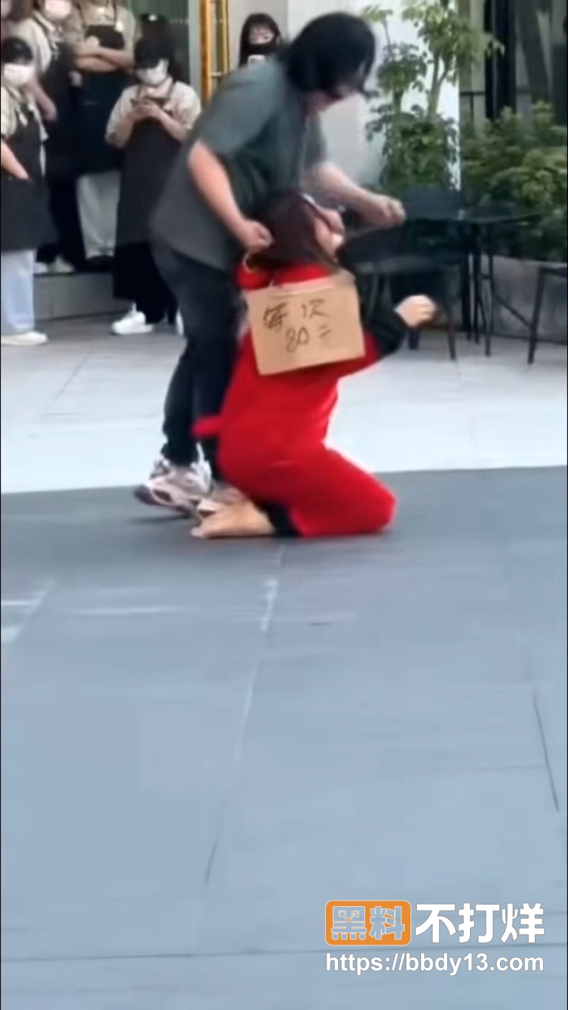 主人的任务 2