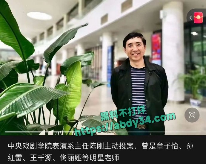 中央戏剧学院高层集体自首 2