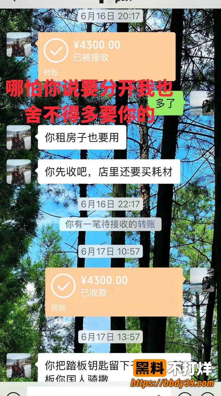 丑的精致5