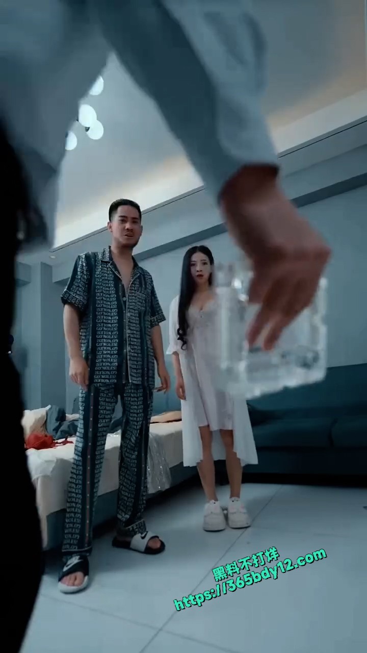 擦边短剧 夫人的秘密 14
