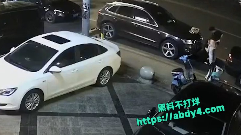 野鸳鸯精虫上脑 路边车旁激情啪啪 5