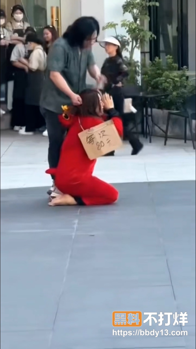 主人的任务 3