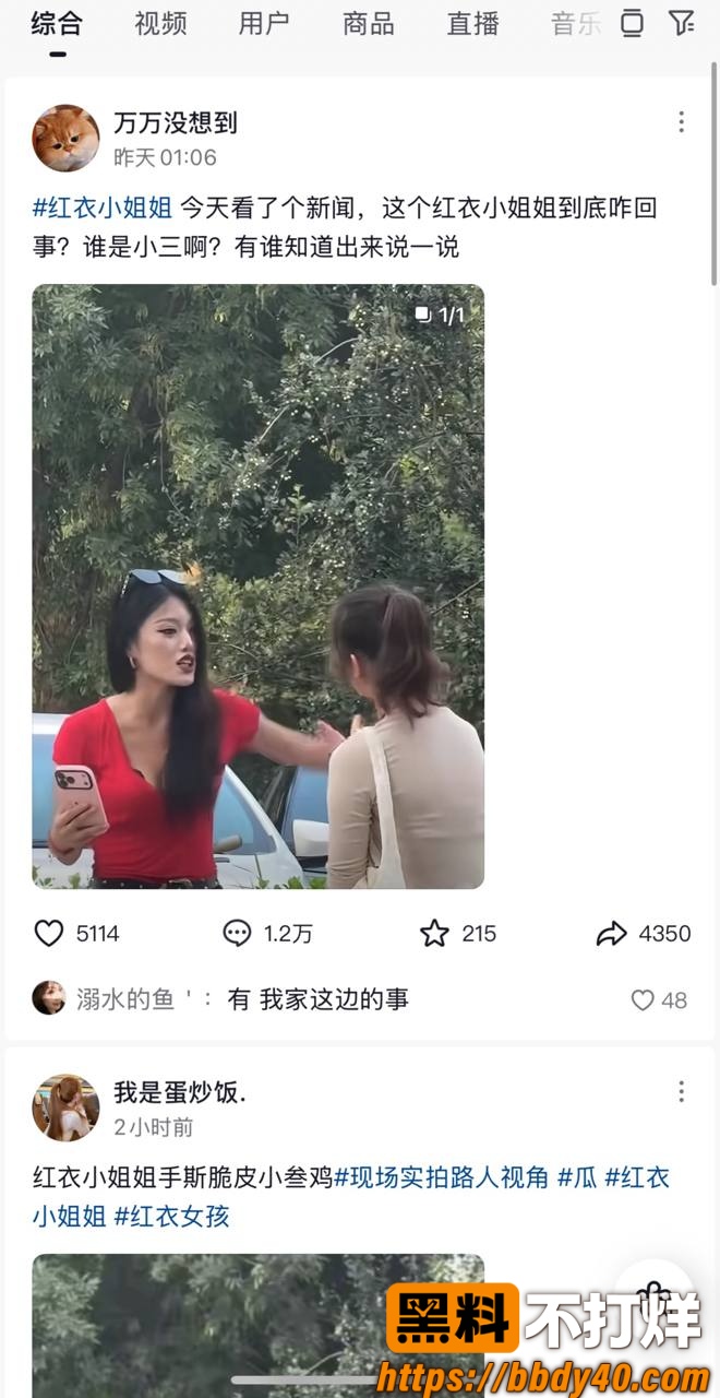 红色上衣女子打架 4