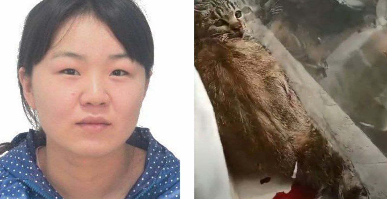 慎入!浙江杭州女孩 刘蕾 一边拿手术刀一边虐猫“咪咪你流了这么多血好可爱啊”