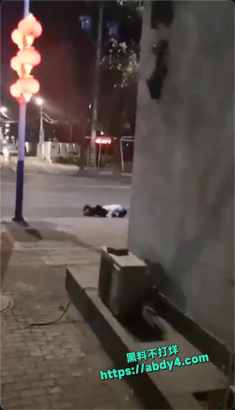 醉酒男女当街脱裤子性爱 2