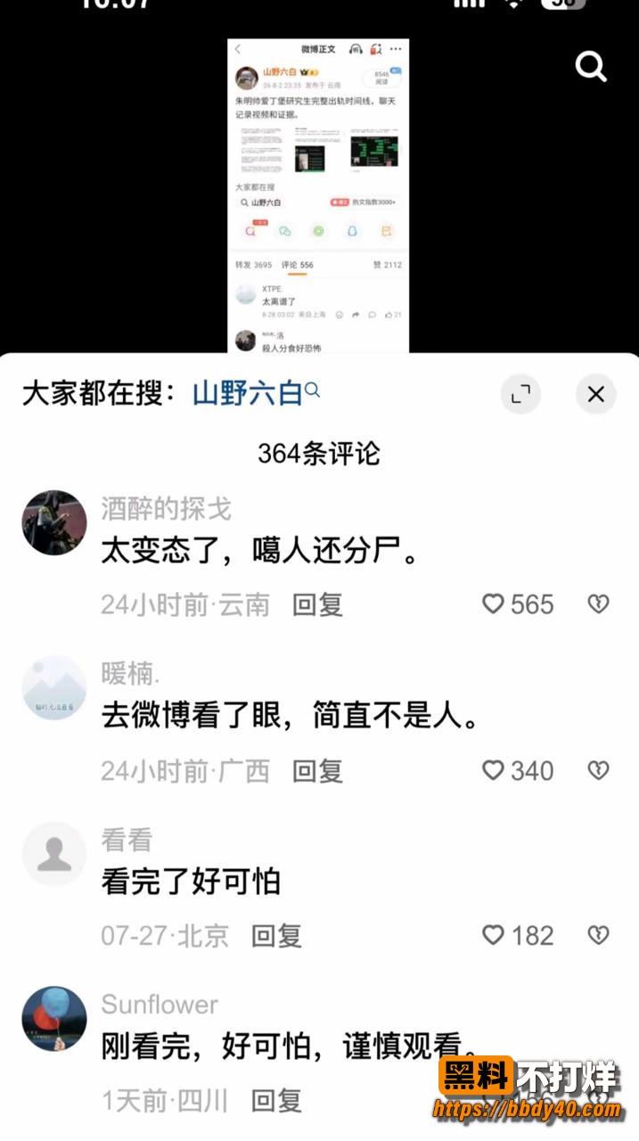 朱明帅瓜条2