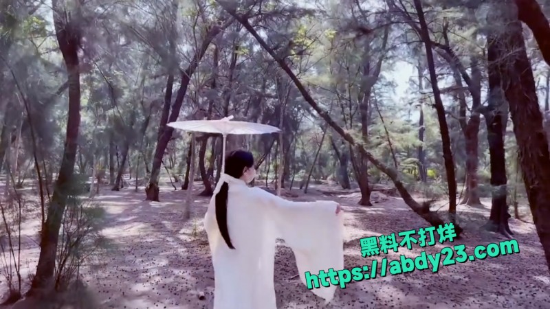 顶级福利姬 亦可姐姐 2