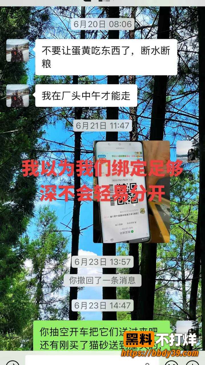 丑的精致6