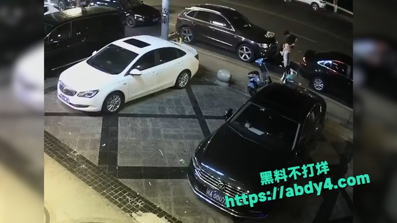 野鸳鸯精虫上脑 路边车旁激情啪啪 4