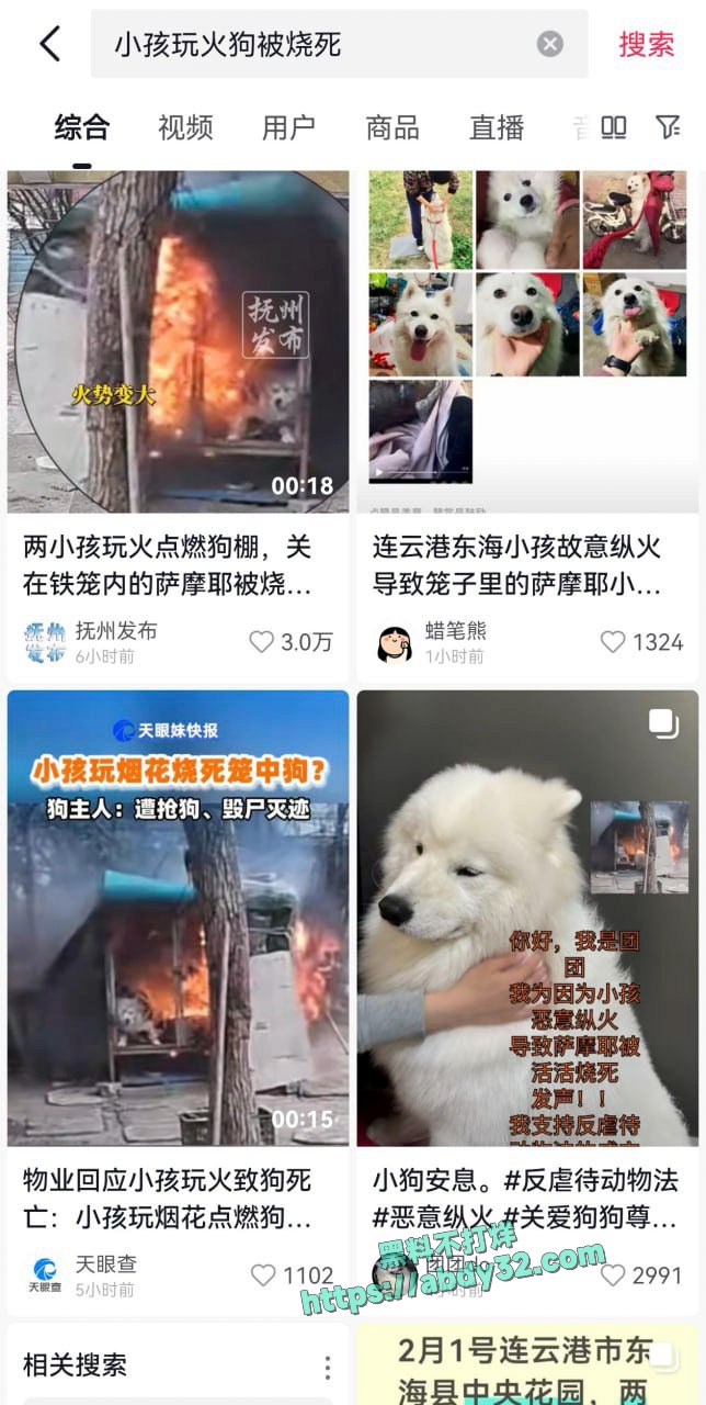 连云港两男孩烧死笼中萨摩耶 3