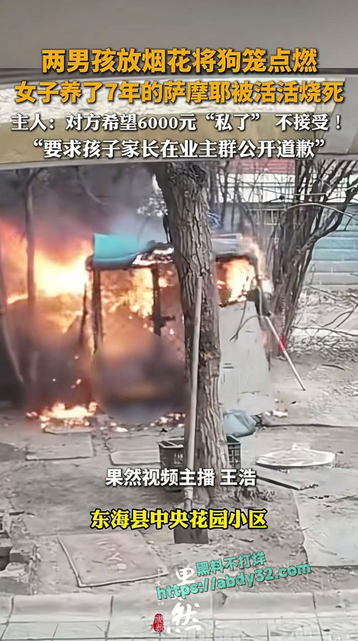 连云港两男孩烧死笼中萨摩耶 2