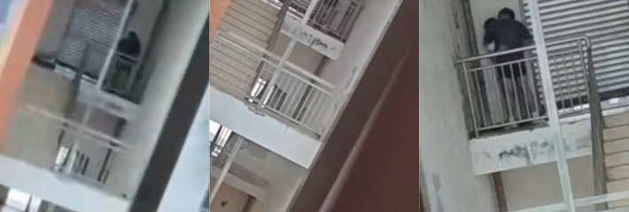 四川高级职业中学小情侣课间欲火难耐翘课出楼梯间口交被偷拍曝光引发吃瓜热议!