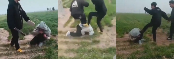 邯郸临漳县第二中学再发生学生霸凌事件 还是三个人打一个人 板砖砸后脑勺 招招往死里打!