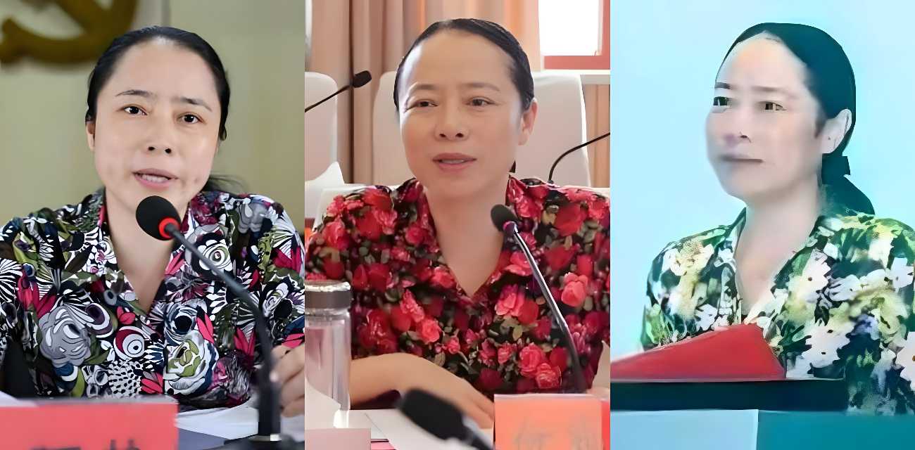 湖南邵阳最美副市长 仇珂静 被开除党籍移送检察院 权色交易包养男模丑闻曝光