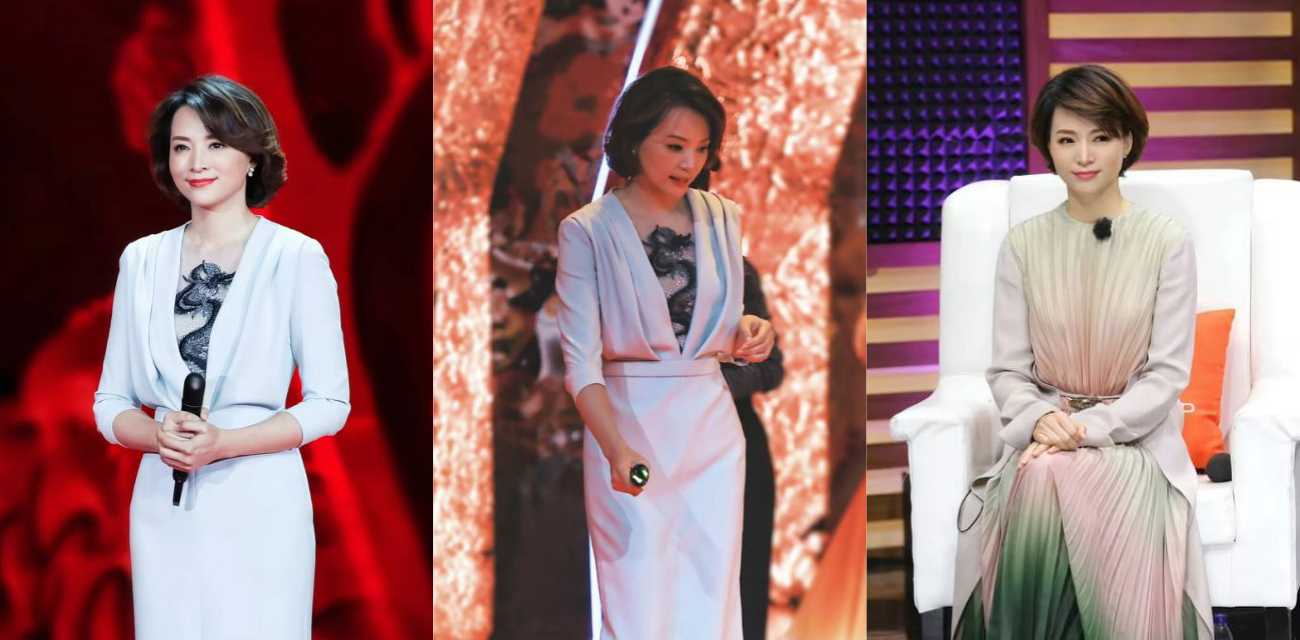 央视一姐 董卿 的人生大戏 知三当三孙力军情妇上位 赴美生子 丈夫成老赖9亿债务压顶！