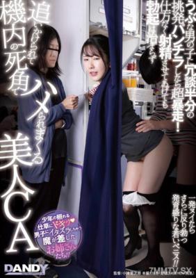 DANDY-968 うぶな男の子に冗談半分の挑発パンチラしたら超暴走！ 仕方なく射精させてあげても勃起は治まらず追いかけられて機内の死角でハメられまくる美人CA