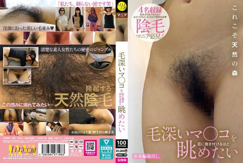 KBMS-198 毛深い陰道讓人希望能凝視久一點