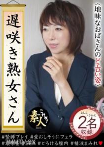 KRS-224 難道你不想見一個晚熟的成熟女人嗎？清醒阿姨喉嚨色情圖 33
