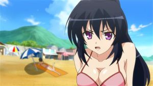 《守护猫娘绯鞠》（情色万岁）