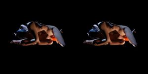 VReal_18K 冷热女同性恋 69 - 以蓝发 Evelyn Parker 和红发 Leliana（龙腾世纪）为特色的浪漫相互口交 - 渲染 CGI 3D