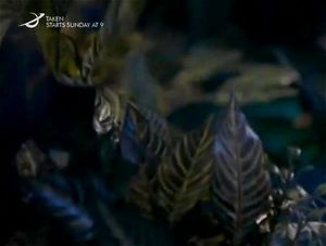 外星人性爱档案：探索异星激情与未知领域的成人冒险。这部作品带领观众进入一个充满奇幻色彩的外星世界，体验超越想象的感官刺激。适合寻求新奇与刺激的成人观众，感受不同生命形式的亲密互动，满足对未知欲望的好奇心。准备好开启一场宇宙级的成人探索之旅了吗？