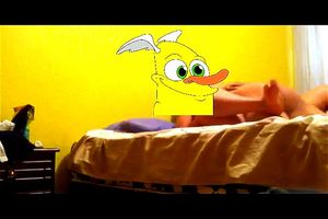 普蒂卡