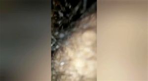 莎伦的精选合集