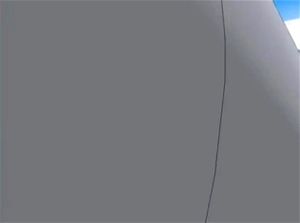 动漫无码的工作女性
