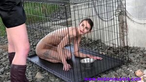 女同性恋支配者