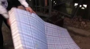 歹徒性奴隶