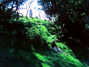 跳蚤自传 (1976)