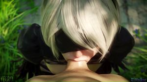 2B 第二选择 SFM PMV