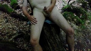 在倒下的树上