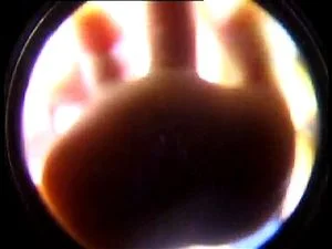 缩小的室友