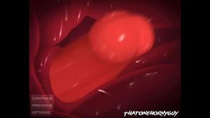 宝可梦喷火龙精彩合集