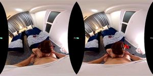 181 号