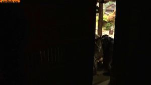 性爱故事