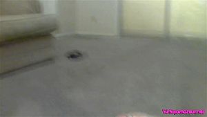 达科他猫